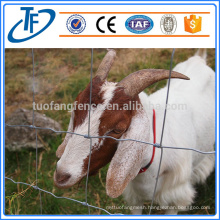 hot sale sheep wire mesh/farm field fence with competitive price